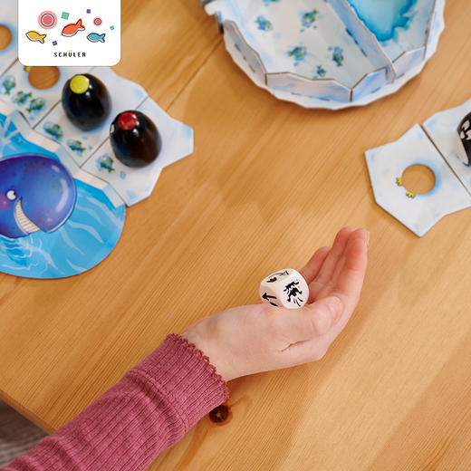 德国桌游 《浮冰乐园》适玩年龄6+ 规划能力 抗挫折 合家欢乐 -601105189 商品图6