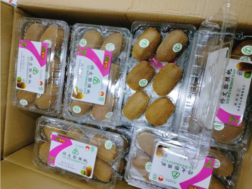 修文猕猴桃2盒 商品图2