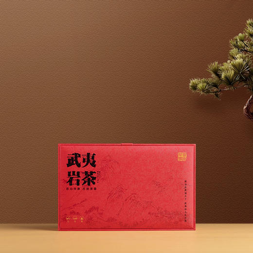 武夷山正岩岩茶礼盒装（九款茶） 商品图1