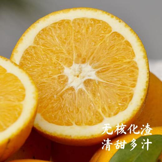 【安琪之家】5斤装 010脐橙【崀山脐橙】脐橙之乡 源头直发 010可持续农法种植 不催熟不打蜡 黄金酸甜比 无核化渣 清甜多汁 商品图1
