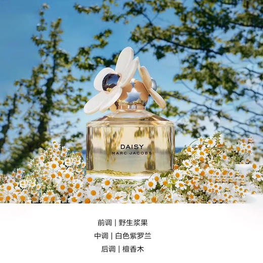 Marc Jacobs/莫杰经典雏菊淡香水花果香调女士淡香氛 50ml/100ml【CDF】 商品图4