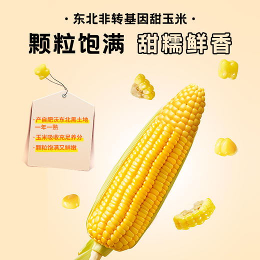 【清心湖甄选&全网比价】营养代餐粥 燕麦玉米糊/银耳炖烤梨 配料干净营养代餐 低脂饱腹 细腻顺滑口感丰富 安心配料 老幼皆宜即食粥 商品图9