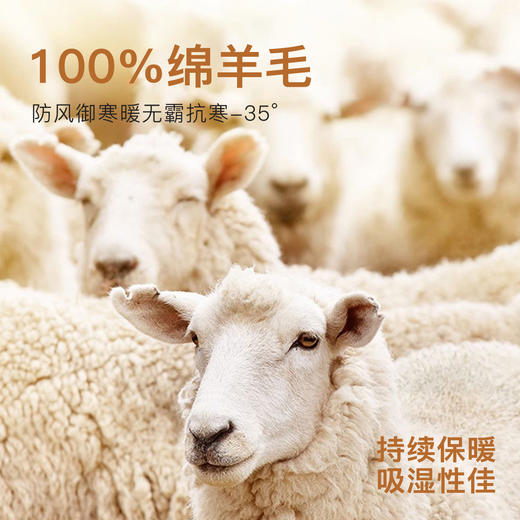 100%绵羊毛填充880克密度加绒加厚打底裤女高腰收腹提臀加厚芭比裤 商品图4