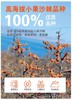 莫热仓沙棘原浆210ml（30ml*7/袋） 商品缩略图5