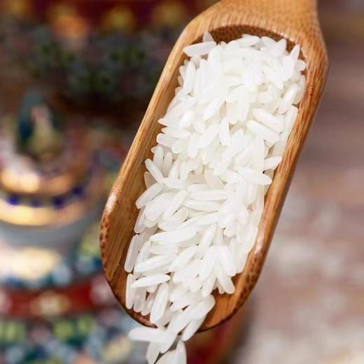 亚象泰国茉莉香米5kg 商品图2