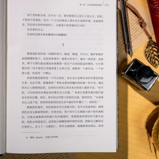 《替补：哈里王子自传》 随书赠人物关系图2张 李尧 陈鲁豫联袂翻译 商品图12
