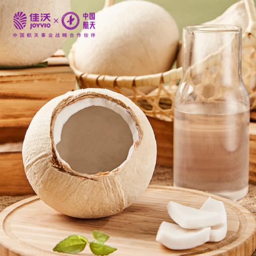 佳沃老树椰皇6粒装 天然电解质水 低卡轻食 商品图3