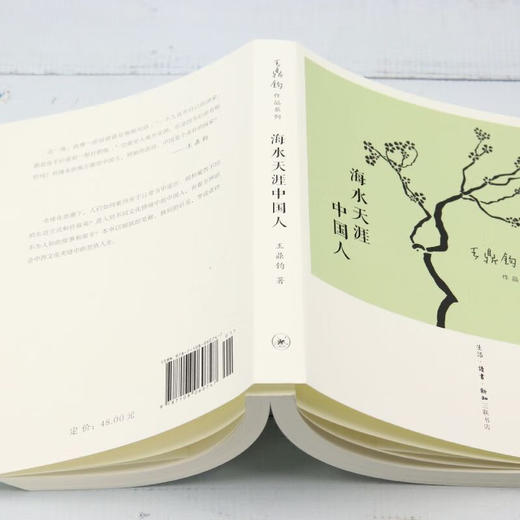 海水天涯中国人 王鼎钧作品系列 商品图1