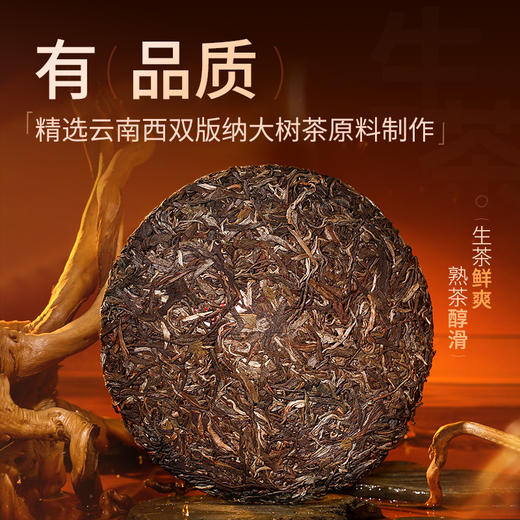 【蛇年生肖茶】陈升号 2025年玉蛇兆瑞357g（生茶） 商品图1
