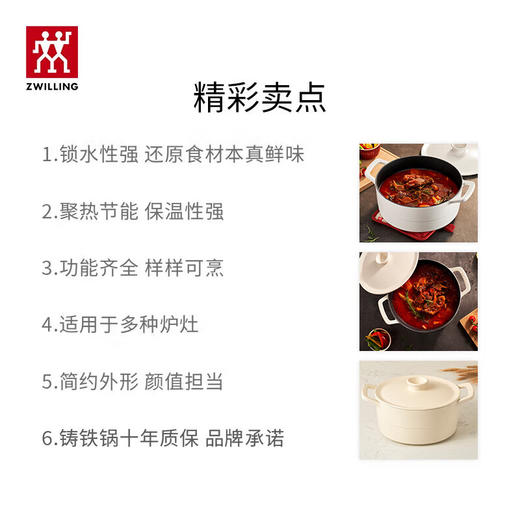 双立人  Dragon 铸铁饭釜锅22厘米 商品图2