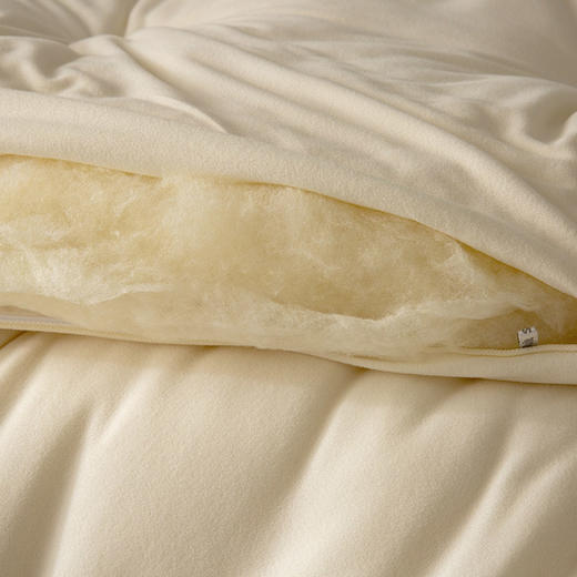 火山绒李官奇大豆冬被  绵软加厚保暖子母被 商品图6