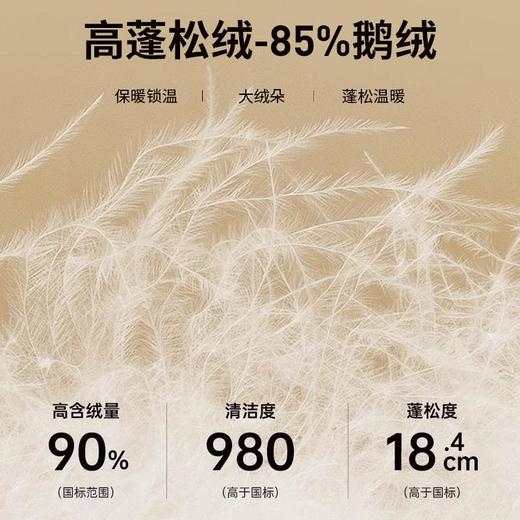 【鹅绒】圣得西男装冬季新款美拉德复古可拆卸毛领羽绒服2462942075 商品图1