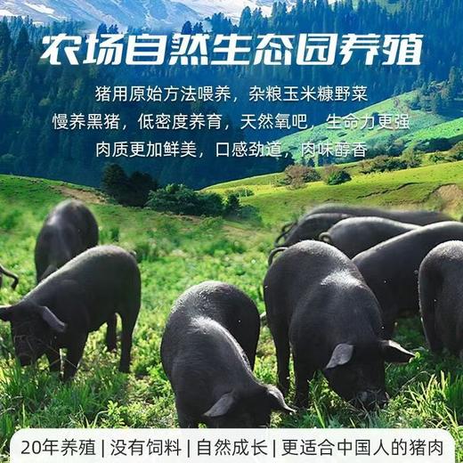 疯抢中！！【顺丰冷链发货！】【宝荣沣黑猪肉老面小笼包】0添加⁮皮薄料足肉馅饱满 香而不腻 商品图2