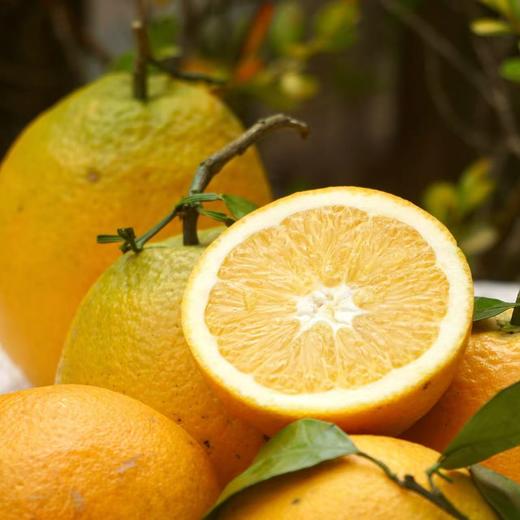 【安琪之家 公益区】 010脐橙【崀山脐橙】脐橙之乡 源头直发 010可持续农法种植 不催熟不打蜡 黄金酸甜比 无核化渣 清甜多汁 商品图2