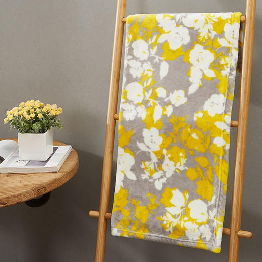 【多样屋专柜】多样屋法兰绒盖毯办公室家用午睡盖腿毯亲肤柔软空调毯 80*100cm 商品图4