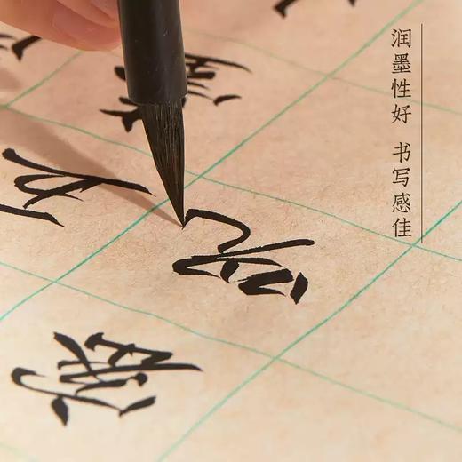 楮皮日课纸丨半生熟格子竖行多规格练习纸  纸质细腻 商品图3