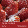 巴拿马驴子庄园瑰夏 商品缩略图0