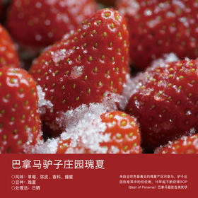 巴拿马驴子庄园瑰夏
