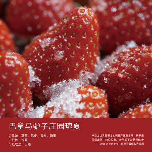 巴拿马驴子庄园瑰夏 商品图0