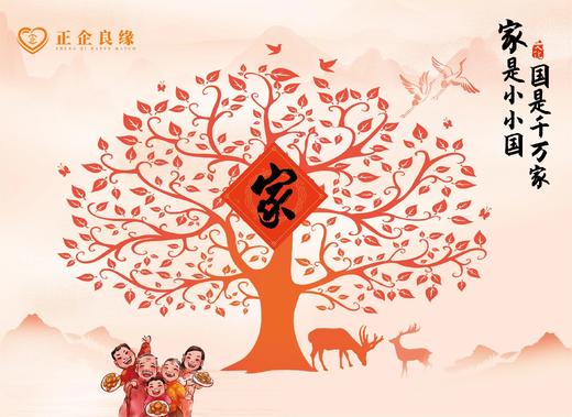 正企良缘（门当户对服务包） 商品图2