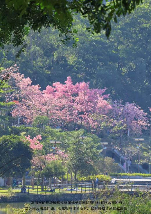 【风云岭森林公园】摘果1天游 商品图1