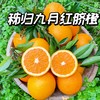 【九月红脐橙】九月红来自“中国脐橙之乡”-湖北秭归！果肉多汁Q弹，口感甜蜜蜜，和吃果肉果冻一样，9分甜，1分酸，10分好吃~最佳果期，‏⁠果冻口感 商品缩略图1