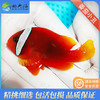 红番茄Amphiprion frenatus 商品缩略图1