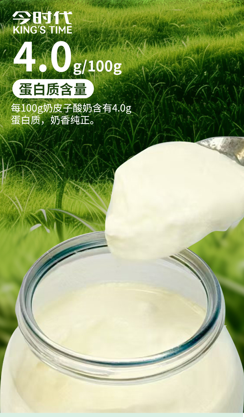 今时代低温酸奶草原一小桶奶皮子酸奶