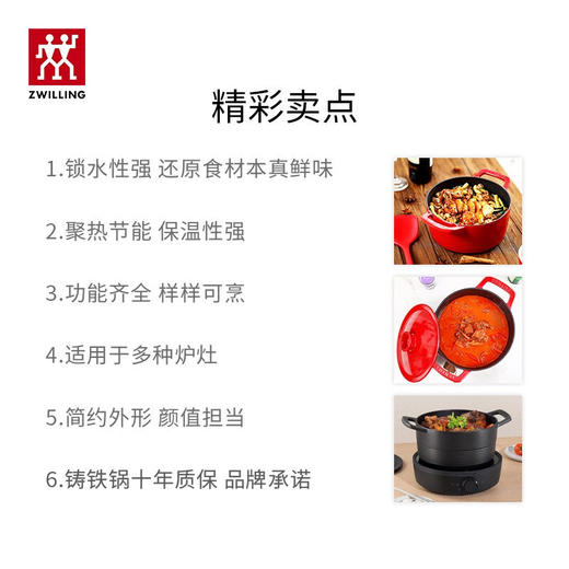 双立人  Dragon 铸铁饭釜锅22厘米 商品图1