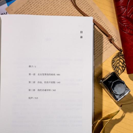 《替补：哈里王子自传》 随书赠人物关系图2张 李尧 陈鲁豫联袂翻译 商品图9