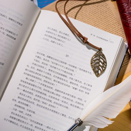 《替补：哈里王子自传》 随书赠人物关系图2张 李尧 陈鲁豫联袂翻译 商品图11