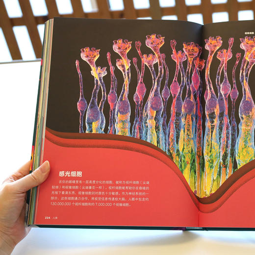 《大英儿童百科知识大数据》 商品图10