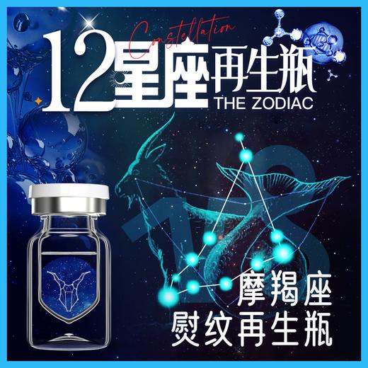 摩羯座·熨纹再生瓶 商品图0