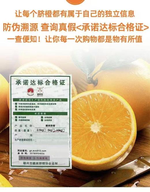 赣南脐橙新鲜维C水果鲜橙上市季赣南脐橙 江西赣南脐橙可食率达85%含果汁55%以上有"中华名果” 商品图2