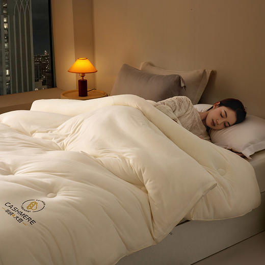 火山绒李官奇大豆冬被  绵软加厚保暖子母被 商品图9