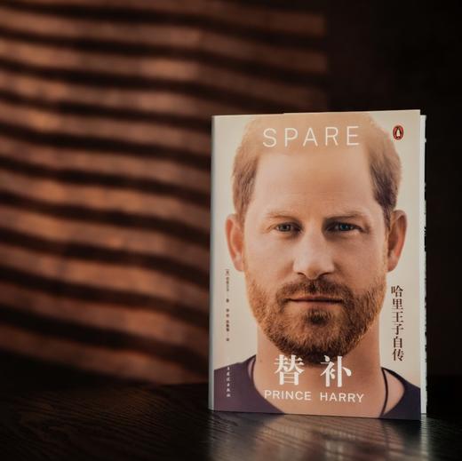 《替补：哈里王子自传》 随书赠人物关系图2张 李尧 陈鲁豫联袂翻译 商品图6