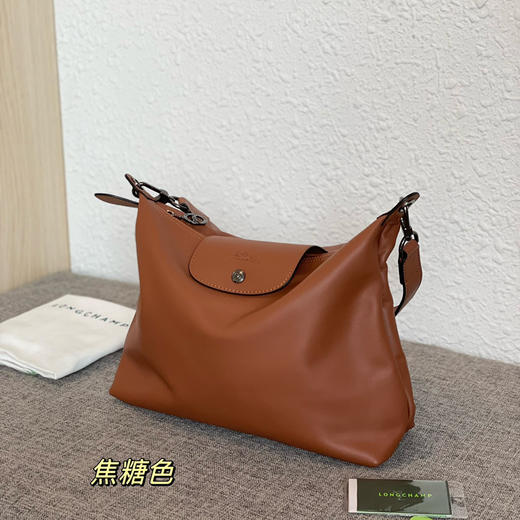 龙骧Longchamp hobo腋下包单肩托特包 商品图9
