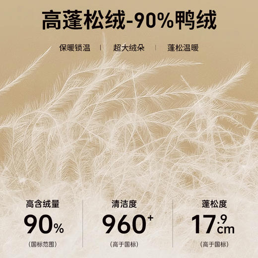 【可脱卸帽】圣得西冬季90鸭绒休闲短款防寒加厚羽绒服男 商品图1