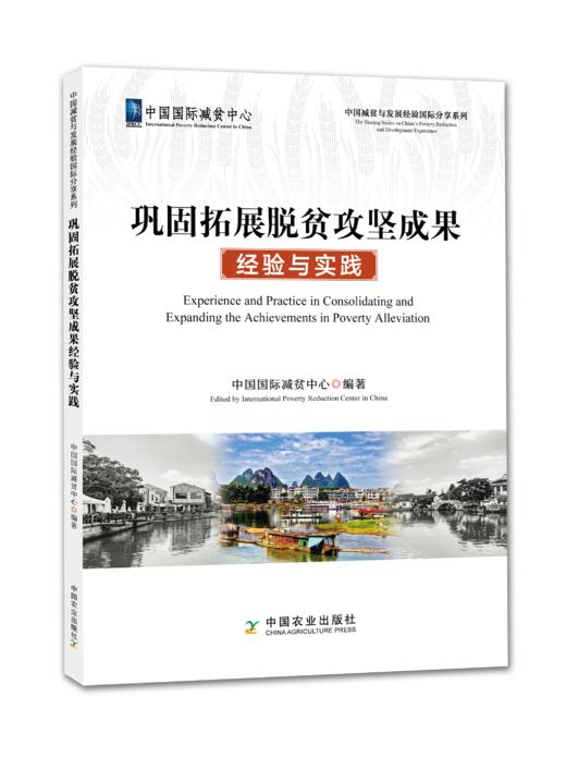 巩固拓展脱贫攻坚成果经验与实践【官方正版，可开发票】 商品图1
