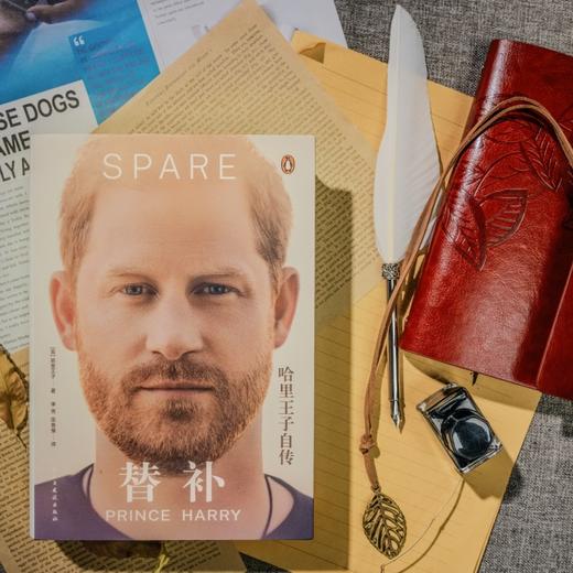 《替补：哈里王子自传》 随书赠人物关系图2张 李尧 陈鲁豫联袂翻译 商品图4