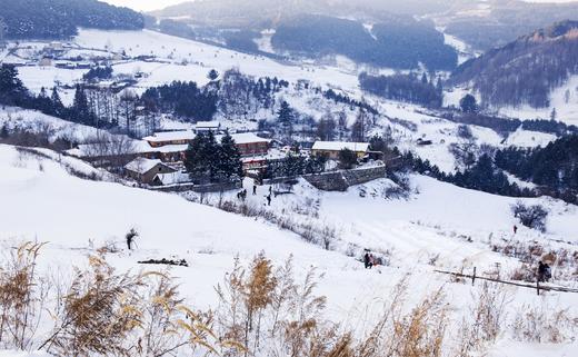 冰雪奇缘——吉林雾凇、雪乡童话世界、四方顶雪景、镜泊湖冰瀑、东北虎雪地捕食、冰雪大世界、伏尔加庄园7天摄影团（长/哈） 商品图6