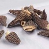 【通江扶贫】通江县深山良品羊肚菌50g 商品缩略图2