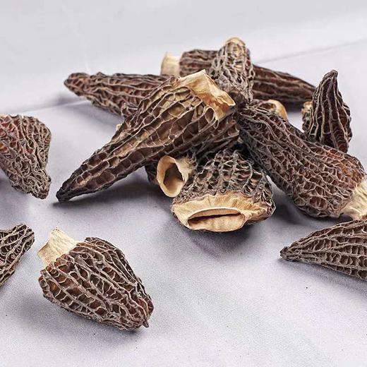 【通江扶贫】通江县深山良品羊肚菌50g 商品图2