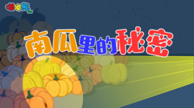 2024年12月-南瓜里的秘密