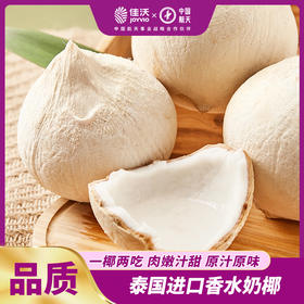 佳沃老树椰皇6粒装 天然电解质水 低卡轻食