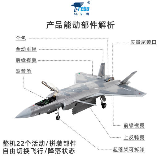 特尔博1:48歼20隐形战斗机飞机模型丨合金仿真军事模型丨收藏精品丨送礼佳品丨家居摆件 商品图7