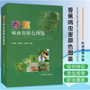 香蕉病虫害原色图鉴 【中国农业出版社官方正版】 商品缩略图0
