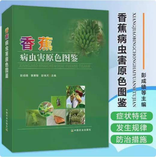 香蕉病虫害原色图鉴 【中国农业出版社官方正版】 商品图0