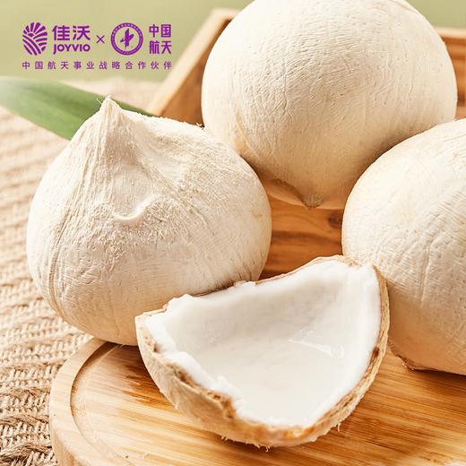 佳沃老树椰皇6粒装 天然电解质水 低卡轻食 商品图4