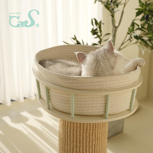 游乐园系列太空舱超耐抓剑麻实木猫抓板大小体型猫通用 商品图3